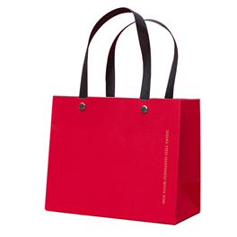 Shopping Bag